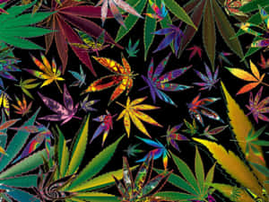 Aesthetic Psychedelic Weed Wallpaper