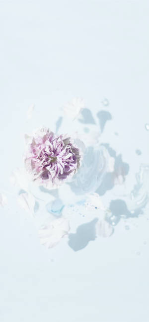 Aesthetic Purple Flower Painting Wallpaper