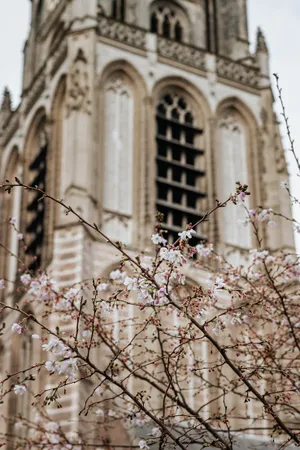 Aesthetic Spring Wallpaper