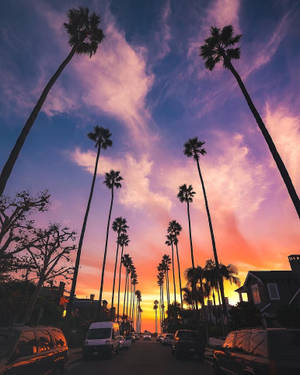 Aesthetic Sunset Boulevard Wallpaper