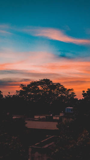 Aesthetic Sunset With Tree Silhouette Wallpaper