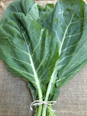 Aesthetic Vegetable Collard Greens High Angle Shot Wallpaper