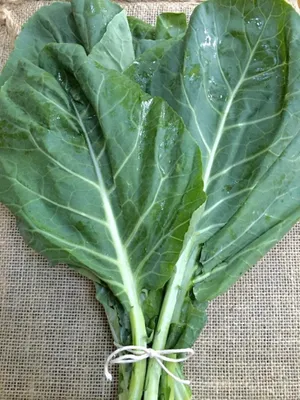 Aesthetic Vegetable Collard Greens High Angle Shot Wallpaper