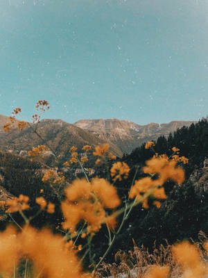 Aesthetic Vintage Ipad Mountain Flowers Wallpaper