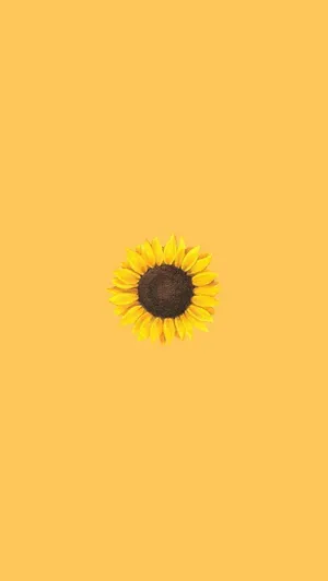 Aesthetic Yellow Iphone Wallpaper