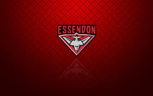 Afl Essendon Team Logo Wallpaper