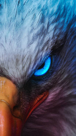 Aguila Sharp Glowing Blue Eye Wallpaper