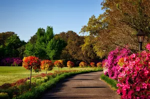 Alabama Bellingrath Gardens Wallpaper