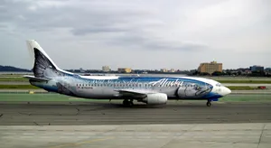 Alaska Airlines Seafood Fish Mural Wallpaper