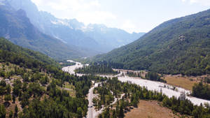 Albania Valley Of Trees Wallpaper