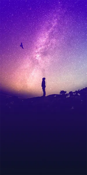 Alcatel Purple Sunset Wallpaper