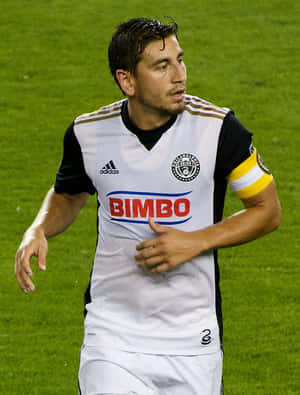 Alejandro Bedoya Bimbo Wallpaper