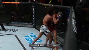 Alex Caceres Cornering Opponent Wallpaper
