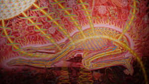 Alex Grey Transcending Earthly Boundaries Wallpaper