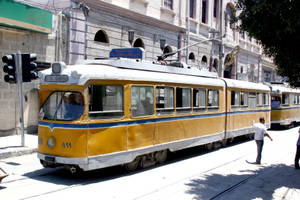 Alexandria Yellow Tram Wallpaper