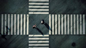 Alice In Borderland Crosswalk Wallpaper