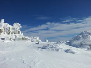 All Snowy Winter Wallpaper