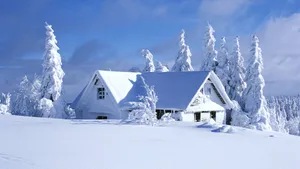All White Winter House Wallpaper