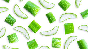 Aloe Vera Slice Pattern Wallpaper