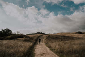 Alone Man In A Grassland Path Wallpaper