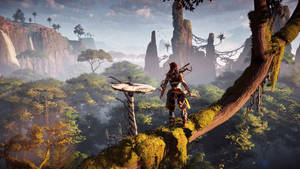 Aloy Horizon Zero Dawn 1440p Gaming Wallpaper