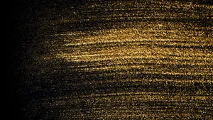 Amazing Black And Gold Glitter Brushed Wallpaper