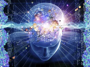 Amazing Cerebral Cortex Illustration 3d Wallpaper