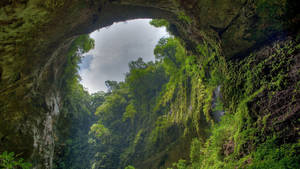 Amazonas Brazil Rock Formation Wallpaper