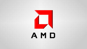 Amd Logo Gray Background Wallpaper