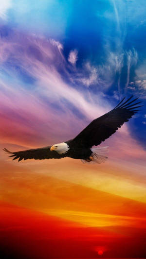 America Iphone Background With A Flying Eagle Wallpaper