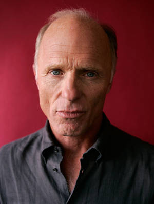 American Actor Ed Harris Portrait Shot Wallpaper