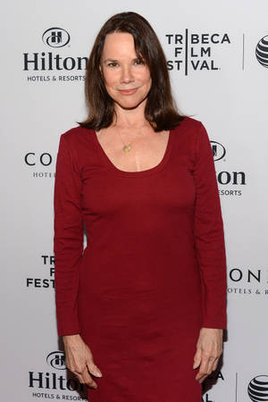 American Actress Barbara Hershey In Red Wallpaper