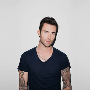 American Artist Adam Levine Wallpaper