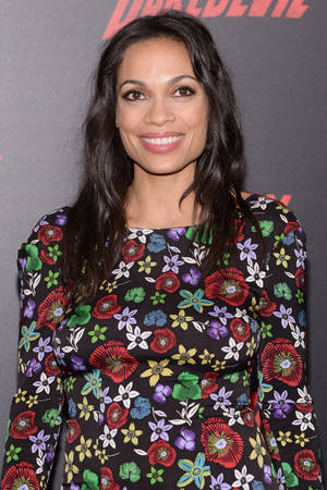 American Celebrity Rosario Dawson Wallpaper