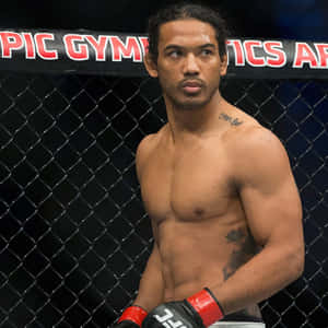 American Mixed Martial Arts Fighter Ben Henderson Still Wallpaper