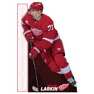 American Professional Ice Hockey Player Dylan Larkin Wallpaper