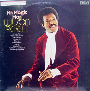 American Singer Wilson Pickett Mr. Magic Man Wallpaper