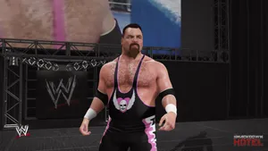 American Wrestler Jim Neidhart Wallpaper