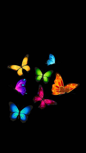 Amoled Butterflies 4k Wallpaper