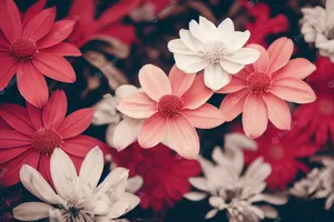 Amplify Your Imagination With Floral Computer Wallpaper