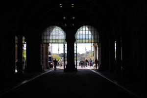 Amsterdam's Rijksmuseum Interior Wallpaper