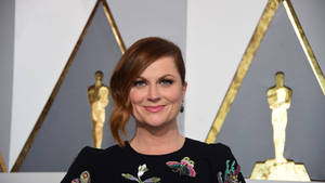 Amy Poehler Oscar Awards Night Wallpaper