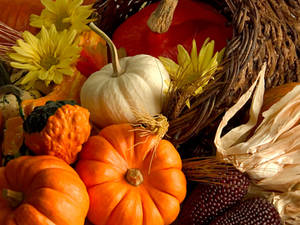 An Abundance Of Fresh Fall Vegetables Wallpaper