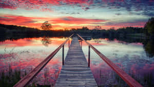 An Aerial View Of Google's Corporate Campus Wallpaper
