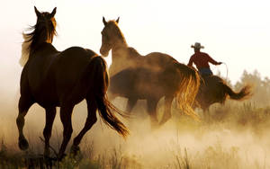 An American Cowboy Riding Through The Wilderness Wallpaper