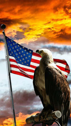 An American Dream Come True - An Iphone Wallpaper