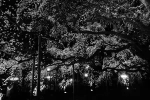 An Awe-inspiring View Of The Mountainous Landscape In Japan. Wallpaper