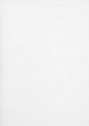 An Elegant Yet Bright White Interior Wallpaper