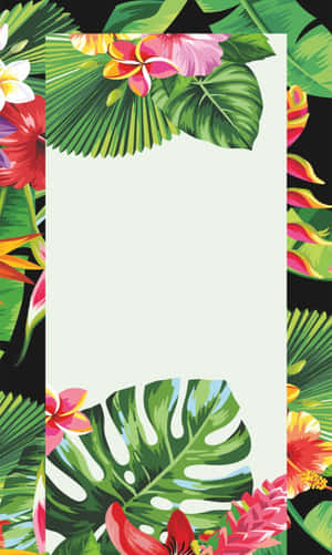An Exotic Tropical Paradise Is An Aesthetic For Any Summer Adventure Wallpaper
