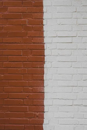 An Eye-catching Half White And Half Brown Brick Wall Wallpaper